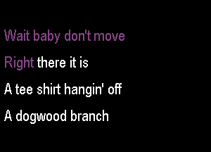 Wait baby don't move
Right there it is

A tee shirt hangin' of?

A dogwood branch
