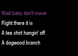 Wait baby don't move
Right there it is

A tee shirt hangin' of?

A dogwood branch