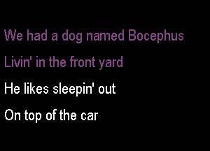 We had a dog named Bocephus

Livin' in the front yard
He likes sleepin' out

On top of the car