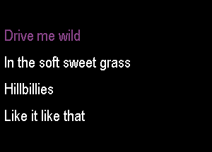 Drive me wild

In the soft sweet grass

Hillbillies
Like it like that