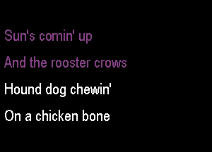 Sun's comin' up

And the rooster crows
Hound dog chewin'

On a chicken bone