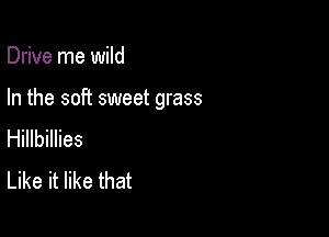 Drive me wild

In the soft sweet grass

Hillbillies
Like it like that