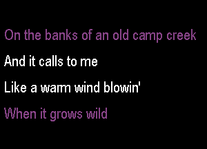 On the banks of an old camp creek
And it calls to me

Like a warm wind blowin'

When it grows wild