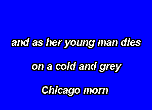 and as her young man dies

on a cold and grey

Chicago mom