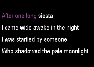 After one long siesta

I came wide awake in the night

I was startled by someone

Who shadowed the pale moonlight