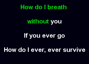 How do I breath

without you

If you ever go

How do I ever, ever survive