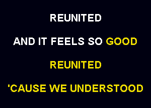 REUNITED

AND IT FEELS SO GOOD

REUNITED

'CAUSE WE UNDERSTOOD