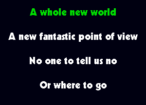 A whole new world
A new fantastic point of view

No one to tell us no

Or where to go