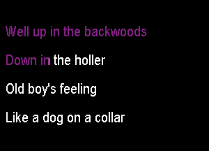 Well up in the backwoods

Down in the holler

Old boy's feeling

Like a dog on a collar