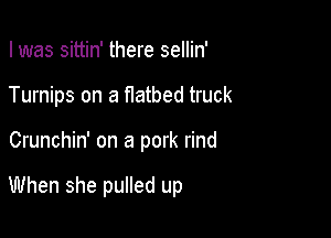 I was sittin' there sellin'

Turnips on a flatbed truck

Crunchin' on a pork rind

When she pulled up