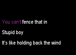 You can t fence that in

Stupid boy

lfs like holding back the wind