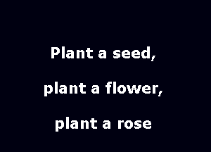Plant a seed,

plant a flower,

plant a rose