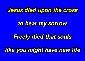 Jesus died upon the cross
to bear my sorrow
Freely died that souls

like you might have new life