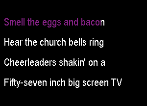 Smell the eggs and bacon
Hear the church bells ring

Cheerleaders shakin' on a

Fifty-seven inch big screen TV