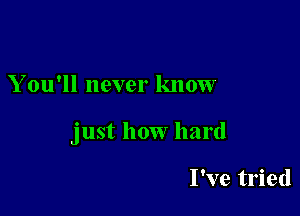 Y ou'll never know

just how hard

I've tried