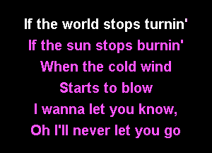 If the world stops turnin'
If the sun stops burnin'
When the cold wind
Starts to blow
I wanna let you know,
Oh I'll never let you go