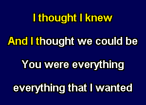 I thought I knew

And I thought we could be

You were everything

everything that I wanted