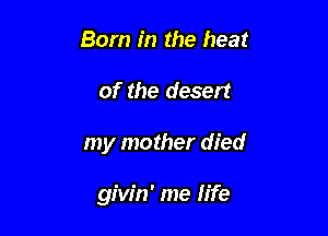 Born in the heat

of the desert

my mother died

givfn' me life