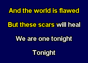 And the world is flawed

But these scars will heal

We are one tonight

Tonight