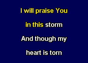 lwill praise You

in this storm

And though my

heart is torn