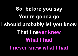 So, before you say
You're gonna go
I should probably let you know

That I never knew
What I had
I never knew what I had