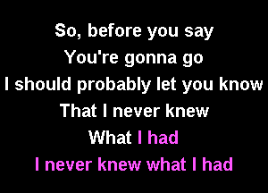 So, before you say
You're gonna go
I should probably let you know

That I never knew
What I had
I never knew what I had