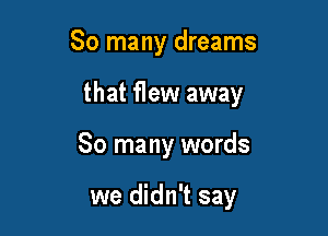 So many dreams

that flew away

So many words

we didn't say