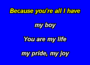 Because you're all I have

my boy

You are my life

my pride, my joy