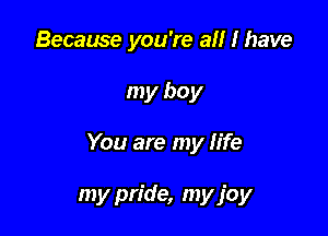 Because you're all I have

my boy

You are my life

my pride, my joy