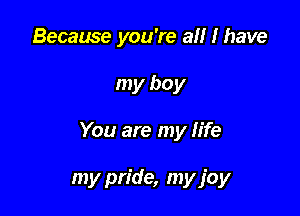 Because you're all I have

my boy

You are my life

my pride, my joy