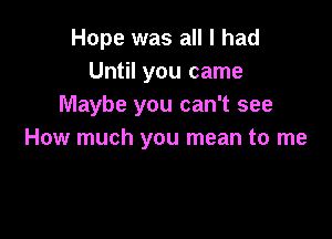 Hope was all I had
Until you came
Maybe you can't see

How much you mean to me