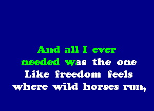 And all I ever
needed was the one
Like freedom feels

Where Wild horses run,