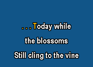 . . . Today while

the blossoms

Still cling to the vine