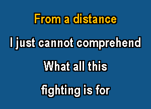 From a distance

I just cannot comprehend

What all this
fighting is for