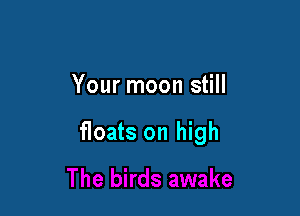 Your moon still

floats on high