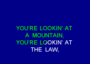 YOURE LOOKIN AT

A MOUNTAIN,
YOURE LOOKIN AT
THE LAW,