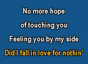 No more hope

of touching you

Feeling you by my side

Did I fall in love for nothin'