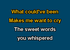 What could've been

Makes me want to cry

The sweet words

you whispered