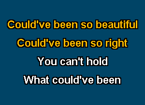 Could've been so beautiful

Could've been so right

You can't hold

What could've been