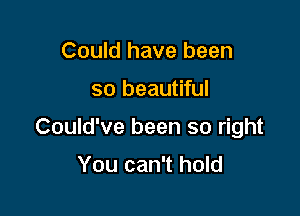 Could have been

so beautiful

Could've been so right

You can't hold