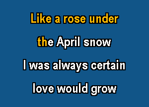 Like a rose under
the April snow

I was always certain

love would grow