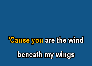 'Cause you are the wind

beneath my wings