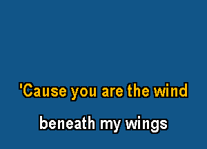 'Cause you are the wind

beneath my wings