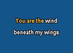 You are the wind

beneath my wings