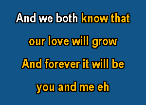 And we both know that

our love will grow

And forever it will be

you and me eh