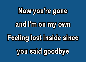 Now you're gone

and I'm on my own

Feeling lost inside since

you said goodbye