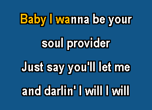 Baby I wanna be your

soul provider
Just say you'll let me

and darlin' I will I will