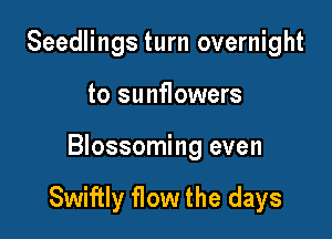 Seedlings turn overnight
to sunflowers

Blossoming even

Swiftly flow the days