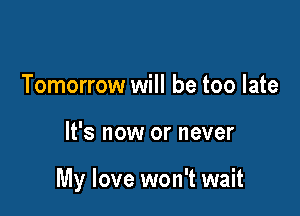 Tomorrow will be too late

It's now or never

My love won't wait