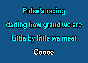 Pulse's racing

darling how grand we are
Little by little we meet

Ooooo